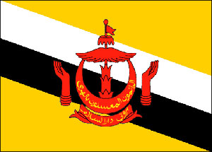 Национальный флаг Брунея