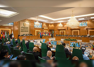 Агентство «Анадолу»